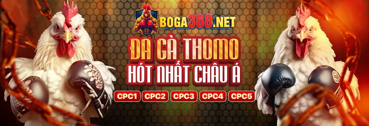 Tổng quan về quy định GDPR